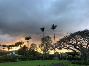 Sonnenuntergang auf Hawaii mit Palmen