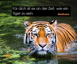 Zitat Madhukar Tiger