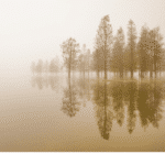 Dankbarkeit thankfulness