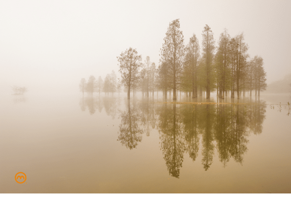 Dankbarkeit thankfulness